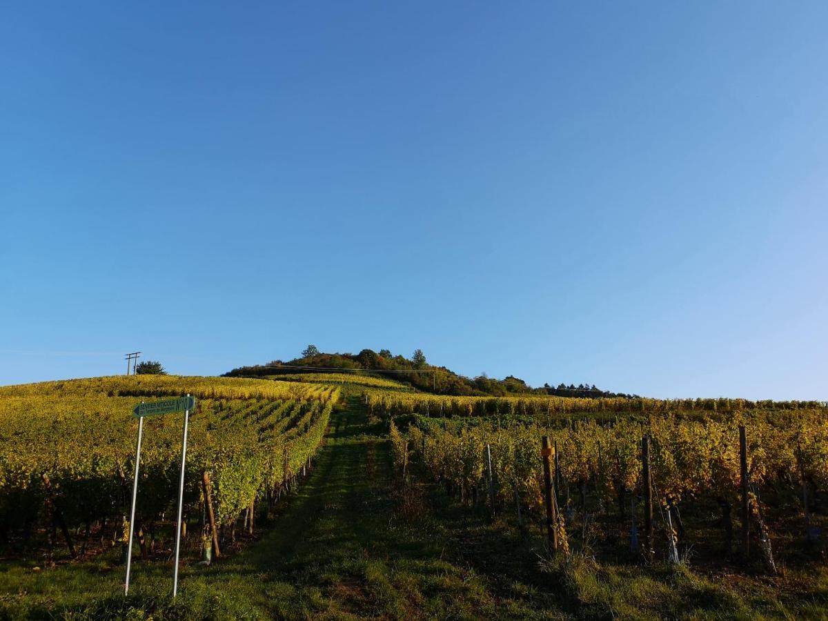 Cocon De Caractere Au Coeur Des Vignes Alsaciennes Appartement Bergheim Buitenkant foto