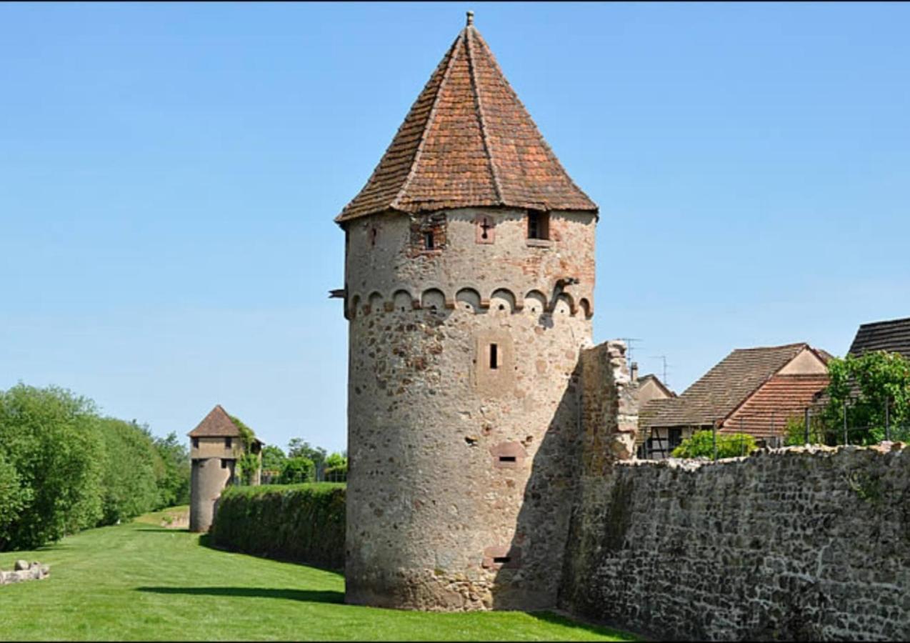 Cocon De Caractere Au Coeur Des Vignes Alsaciennes Appartement Bergheim Buitenkant foto