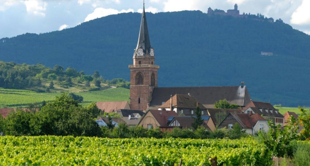 Cocon De Caractere Au Coeur Des Vignes Alsaciennes Appartement Bergheim Buitenkant foto