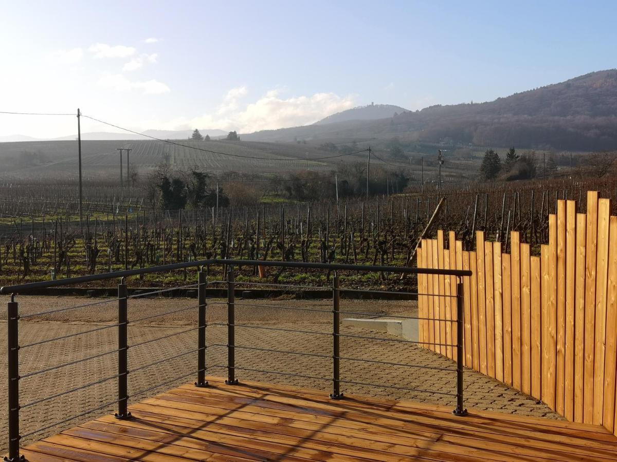 Cocon De Caractere Au Coeur Des Vignes Alsaciennes Appartement Bergheim Buitenkant foto