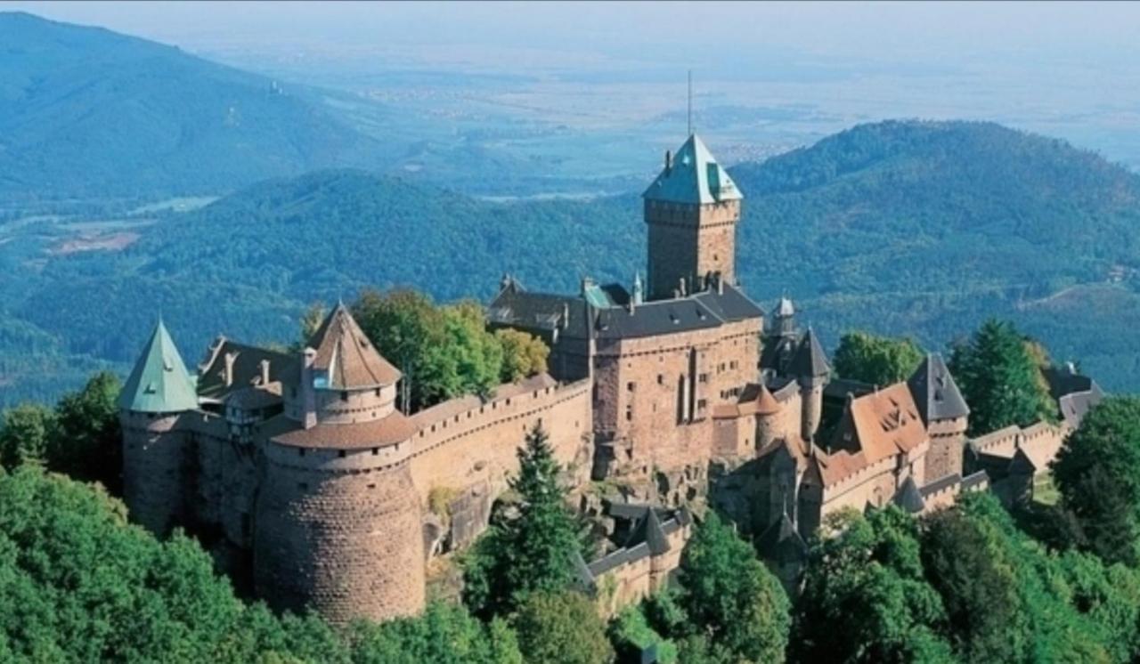 Cocon De Caractere Au Coeur Des Vignes Alsaciennes Appartement Bergheim Buitenkant foto