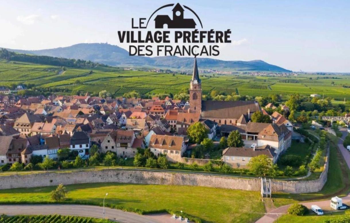 Cocon De Caractere Au Coeur Des Vignes Alsaciennes Appartement Bergheim Buitenkant foto